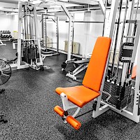 fitness / BRAVO PLZEŇ z. s.
