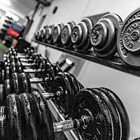 fitness / BRAVO PLZEŇ z. s.